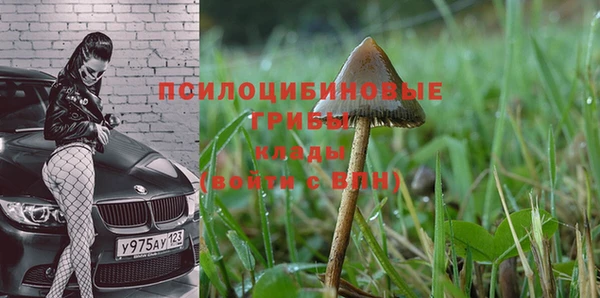 круглые Армянск