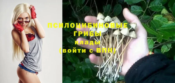 ECSTASY Арсеньев