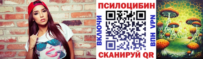 Псилоцибиновые грибы мицелий Никольское
