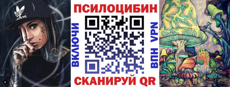 Псилоцибиновые грибы прущие грибы  купить наркоту  Никольское 